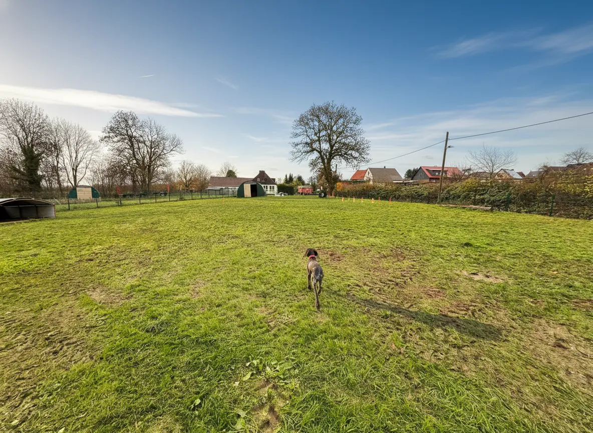 Einblick in das Doggehege Fröndenberg
